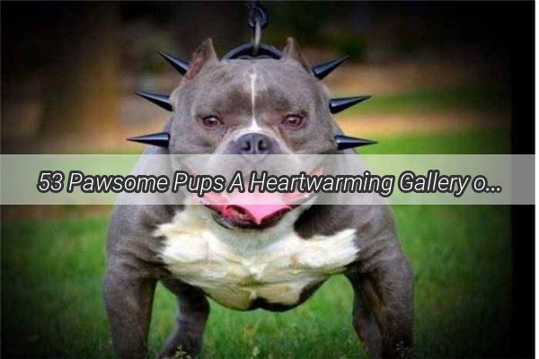 53 Pawsome Pups A Heartwarming Gallery of Canine Cuties